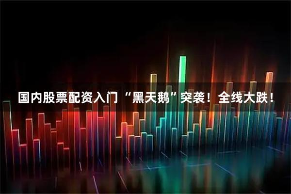 国内股票配资入门 “黑天鹅”突袭！全线大跌！