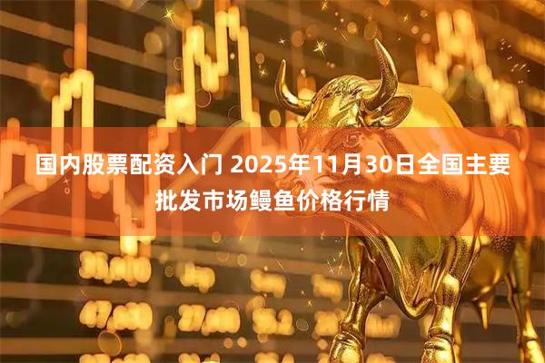 国内股票配资入门 2025年11月30日全国主要批发市场鳗鱼价格行情