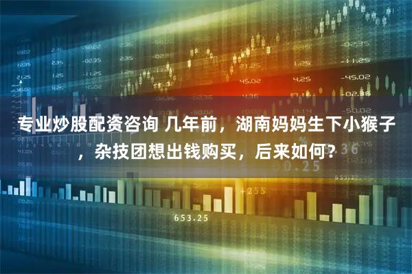 专业炒股配资咨询 几年前，湖南妈妈生下小猴子，杂技团想出钱购买，后来如何？